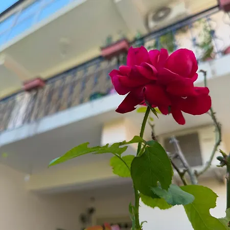 Appartement House In Tirana