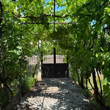 Appartement House In